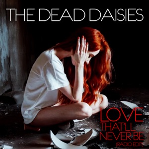 Love That'll Never Be (Radio Edit) - Single
