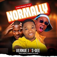 Normally (feat. VERNUE J & S Gee) - Single - King Doublestar