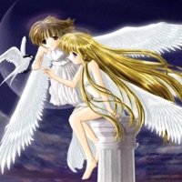 shekool (feat. scarslent & anarchy) - Single - wokluva