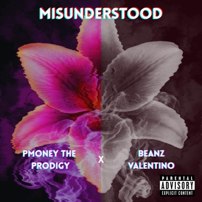 Misunderstood - Single
