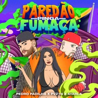 Paredão, Pinga e Fumaça - Single - Pedro Padilha, Pvz1n, Ayarla & Coktel Molotov
