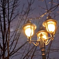 ache after (feat. niciodata acasa) - Single - pinkconvrsc