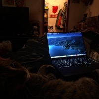 In Love - Single - A$heem