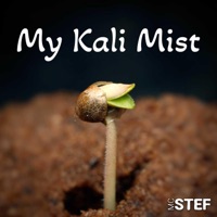 My Kali Mist - Single - Mc Stef