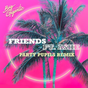 Friends (feat. Ashe) [Party Pupils Remix]