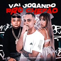 VAI JOGANDO PRO CHEFÃO - Single - DJ BM PROD, Mc Dimenor Dr & Lokira