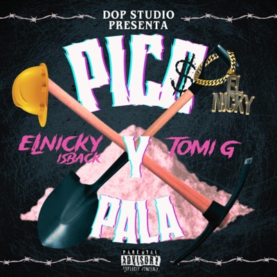 Pico Y Pala (feat. Tomi G) - Single
