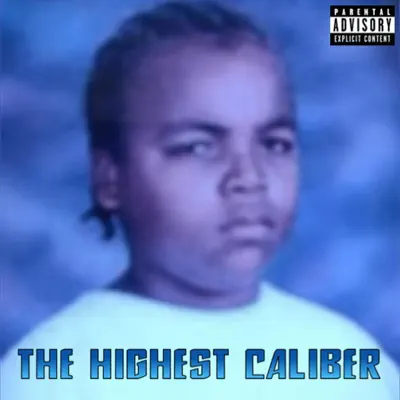 Ascolta 'THE HIGHEST CALIBER' di AON AcE
