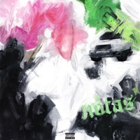 Notas (feat. Lossa) - Single - Nevlo