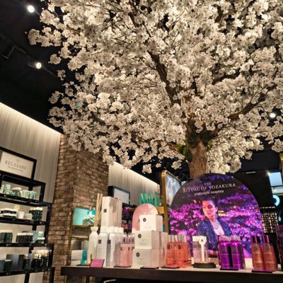 you're gone (feat. Anton Beton) - Single