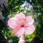 Momma's Love - Single