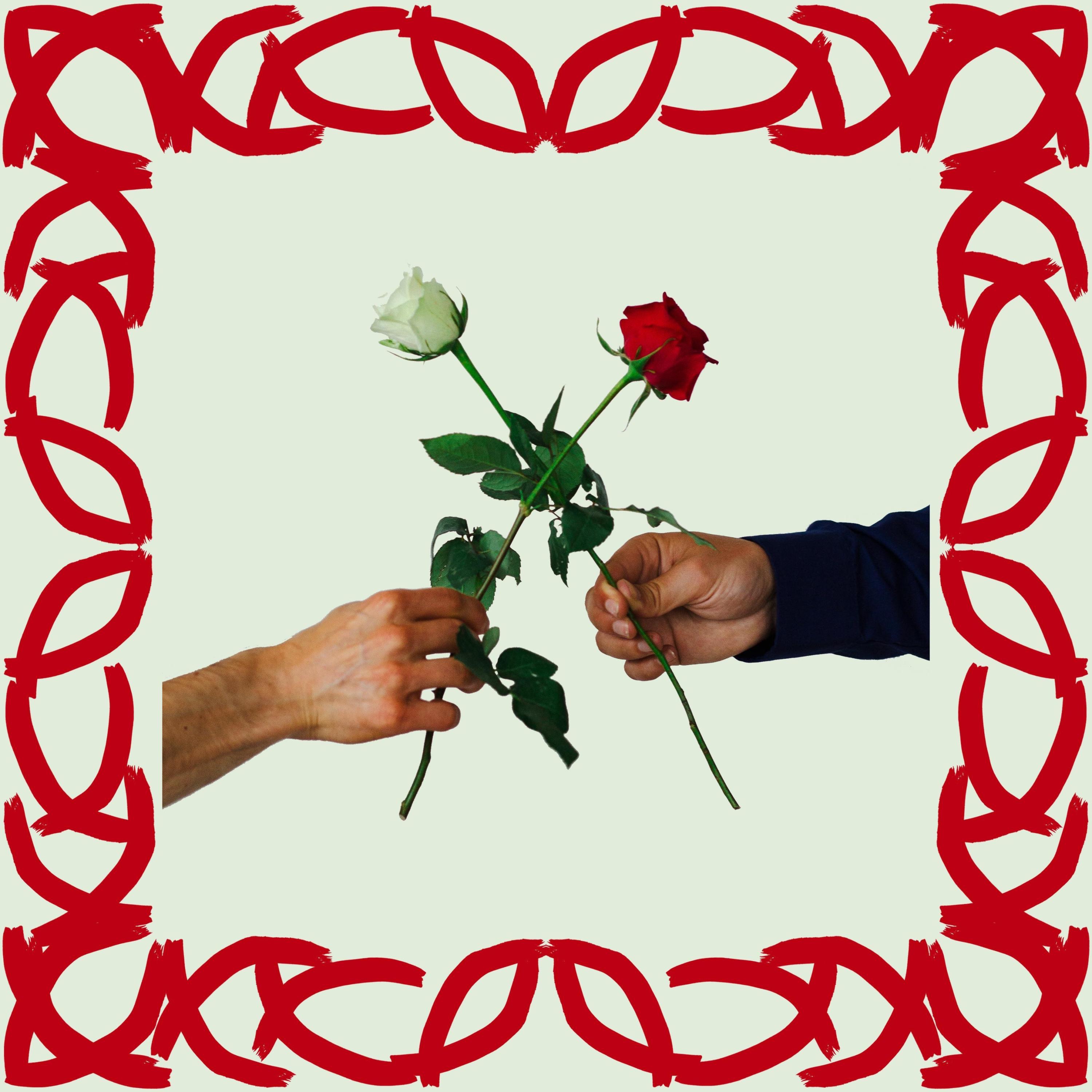 Stereo Rose - Single