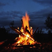 holiday - Single - JAYJ