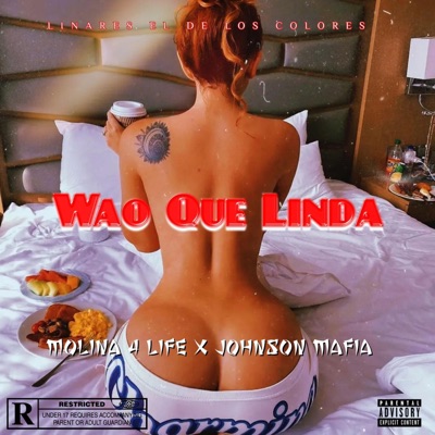 Wao Que Linda (feat. Molina4life) - Single