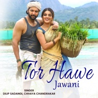 Tor Hawe Jawani (feat. Chhaya Chandrakar) - Single - Dilip Sadangi