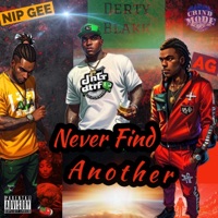 Never Find Another (feat. Nip Gee & A.G.) - Single - Derty Blakk