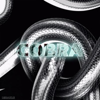 COBRA (The Peep Lounge) - Single - MIRAKLE