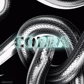 COBRA (The Peep Lounge) MIRAKLE