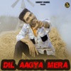 Dil Aagya Mera - Single