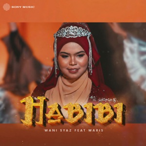 Habibi feat. Waris Album Art