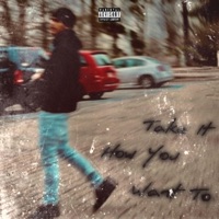 Take It How You Want To - T Mizzyy