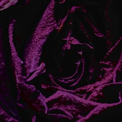 Roman Candles - Single