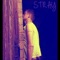 Stray - Andrew Kevin Newton lyrics