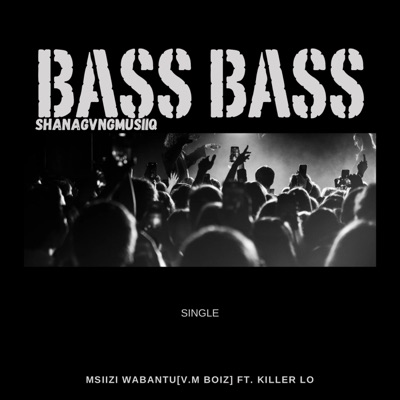 BASS BASS (feat. Msiizi WabanTu & Killer Lo) - Single