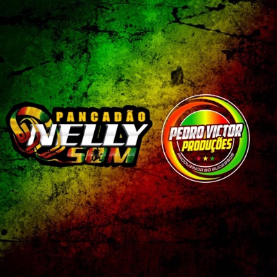 dj marcinho pancadao nelly som - lana del rey reggae funk 2025 pvp nelly som