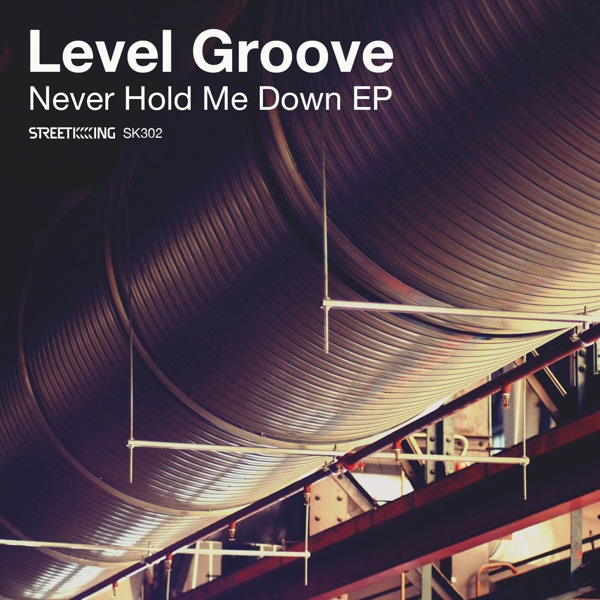 Never Hold Me Down - Single