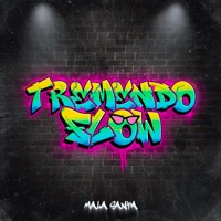 Tremendo Flow - Single - Mala Santa