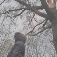 21 and it shows - EP - Sedtrash