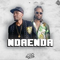 NDAENDA (feat. Buffalo souljah) - Single - paddy watts