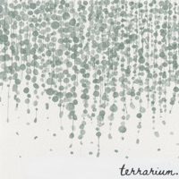 cascades - Single - terrarium.