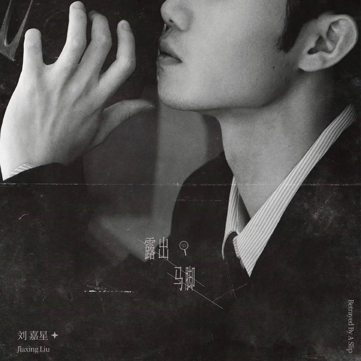 劉嘉星 - 露出馬腳 - Single (2024) [iTunes Plus AAC M4A]-新房子