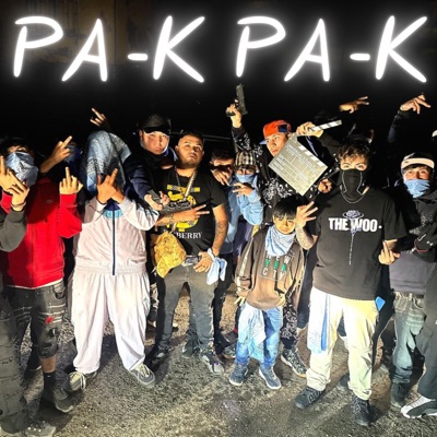 PA K PA K (feat. Al Project, Chinxkidd & Nelflow) - Single