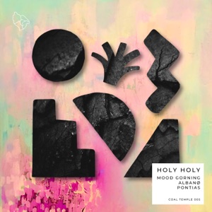Holy Holy - Single