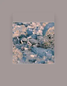 Poslechněte si interpreta Abel & Willing, sledujte hudební videa, přečtěte si životopis, podívejte se na data turné a další informace.