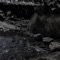 GENT - ALEN lyrics