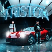 Triston artwork