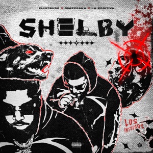 Shelby