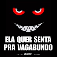 Ela Quer Senta pra Vagabundo - Single - Dj Binho Alvarenga