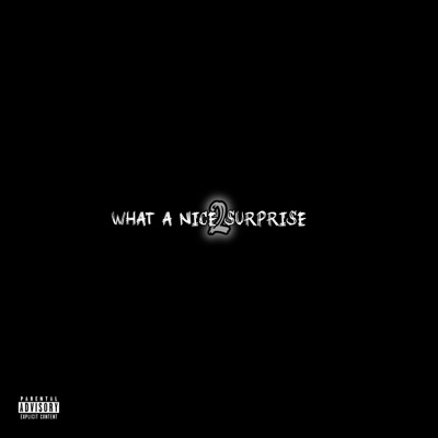 What A Nice Surprise ll (feat. Trikky Kay) - Single