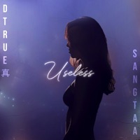 Useless - Single - Dtrue & Sangstaa
