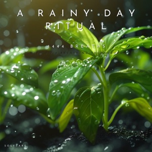 4444 Breaths: A Rainy Day Ritual