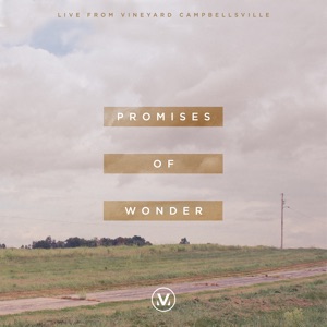 Promises of Wonder (Live)