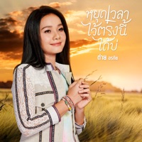 ต่าย อรทัย - หยุดเวลาไว้ตรงนี้ได้บ่