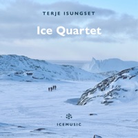 Ice Quartet - Terje Isungset