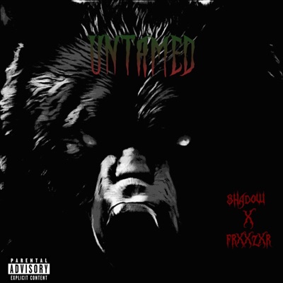 UNTAMED (feat. LIL FRxxZxR) - Single