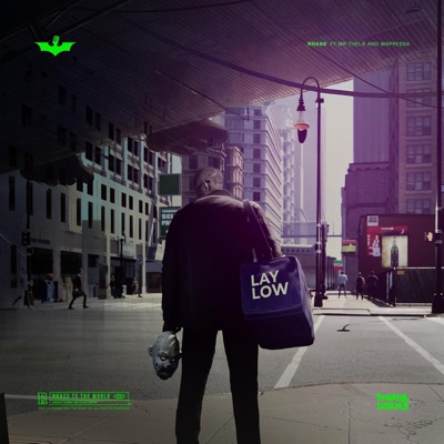 Lay Low (feat. Mr Thela & Mapressa) - Single